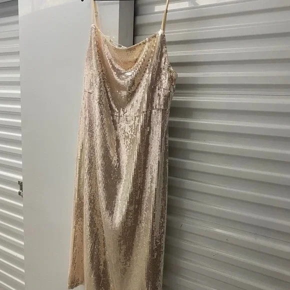 NWT ASOS brand champagne /ivory color sequin midi slip dress. Size 20/xl - Picture 4 of 4